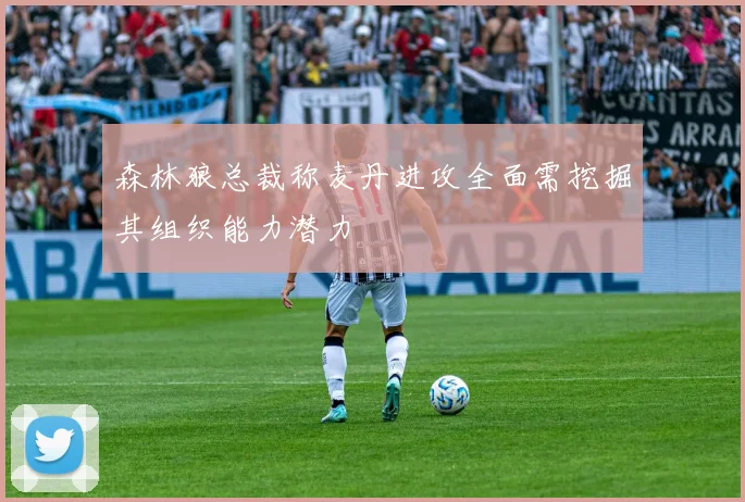 森林狼总裁称麦丹进攻全面需挖掘其组织能力潜力
